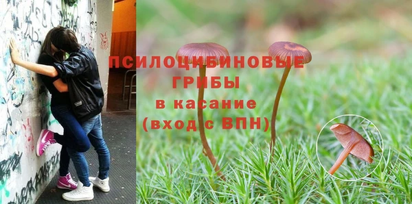 наркотики Новодвинск