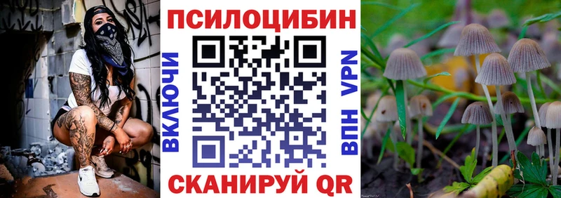 Псилоцибиновые грибы Psilocybine cubensis  купить  цена  Апатиты 